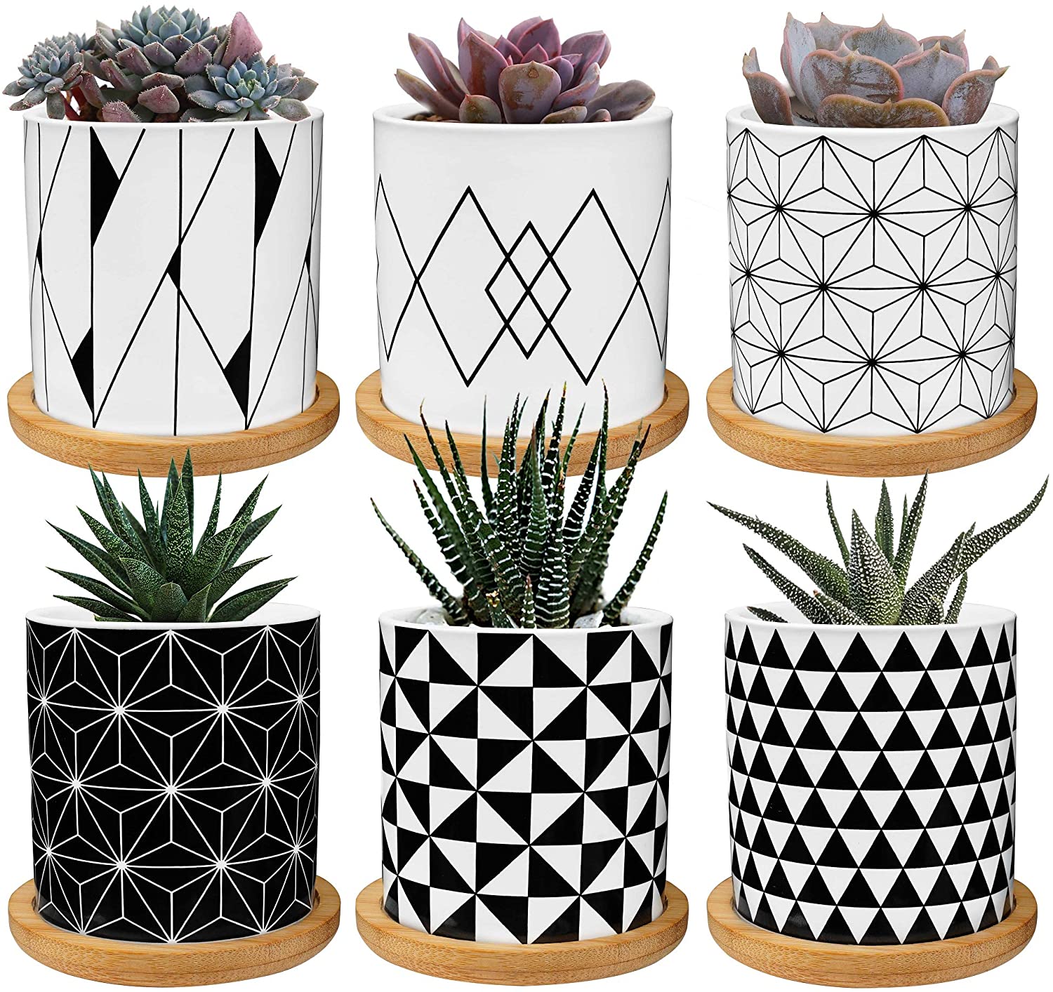 Mini jardinières de 2.8 pouces pour plantes d'intérieur, Pots de plantes en céramique avec soucoupes en bambou