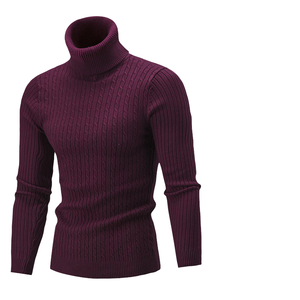 Suéter de Cuello Alto Personalizado con Logotipo para Hombre, Manga Larga, Informal, de Punto, Transpirable, Cómodo, de Forro Polar para Otoño e Invierno - Product Image 4