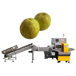 Machine d'emballage de fruits à économie de main-d 'œuvre pour pommes de terre