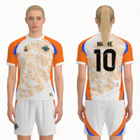 Venta al por Mayor de Camisetas de Fútbol Retro de Verano, 100% Poliéster, Nombre y Números del Equipo Personalizados, Logotipo Termotransferible Delantero/Trasero, Unisex, Manga Corta