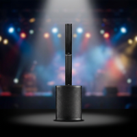 Colonne sonore linéaire de 5 pouces, subwoofer actif en bois de 12 pouces et 15 pouces de 800 W, enceinte de scène performante pour bar