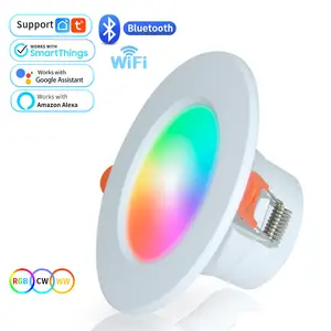 Graffiti Zigbee Intelligente Downlight Alexa Voice Control Wifi Downlight Full Color Dimmen Rgbcw Vijfweg Kleurenlicht