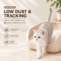 Litière pour chat en tapioca écologique, fond anti-adhésif, absorption rapide, agglomération rapide, faible poussière, vente en gros