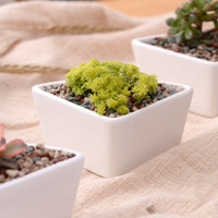 Pot de fleurs en céramique en forme de triangle à prix compétitif, blanc, moderne, décoratif, pour table
