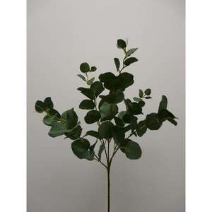 EUCALIPTO X 5 65CM GR - Product Image 1