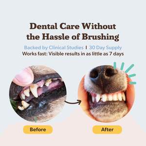 Polvo Dental para Perros, Refresca el <span class=keywords><strong>Aliento</strong></span>, Ayuda a Reducir la Placa y el Sarro, Natural, Sin Necesidad <span class=keywords><strong>de</strong></span> Cepillado, Suplemento Postbiótico para la Salud Bucal Canina - Product Image 2