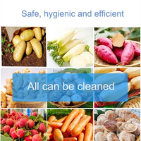 Machine de nettoyage et de pelage de haute qualité pour fruits, légumes, taro, radis, carotte, pomme de terre, gingembre
