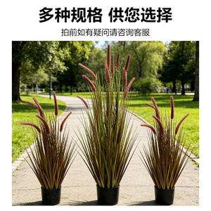 Plantas Artificiales de Césped Cola de Zorro en Maceta, 100cm 200cm de Altura, Simulación Realista, Decoración Interior para Hogar, Sala de Estar, Accesorios para Bodas - Product Image 2