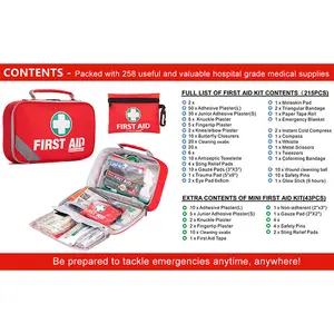 Kit di pronto soccorso BS-8599-1 Kit di pronto soccorso portatile Kit Kit di pronto soccorso Logo per forniture mediche di emergenza