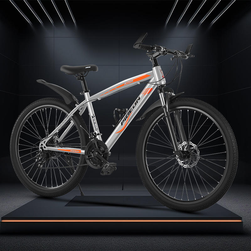 Gris argenté 27 vitesses