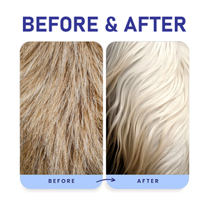 Shampoo <span class=keywords><strong>pour</strong></span> animaux de compagnie ultra concentré professionnel 30:1, extraits naturels, nettoyage en profondeur, blanchiment du pelage <span class=keywords><strong>pour</strong></span> chiens et chats, toilettage des animaux - Product Image 3