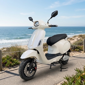 Scooter Eléctrico Retro de 2000 W de Largo Alcance para Adultos, con Logotipo Personalizado, Suministro de Fábrica OEM ODM - Product Image 2