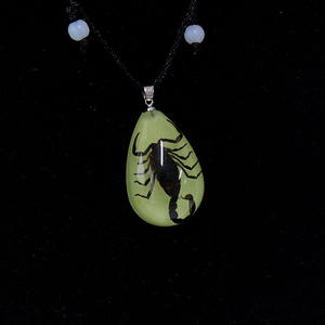 थोक ठंडा सींग मकड़ी का हार धार्मिक सामान पारदर्शी वास्तविक कीट नमूना पैटर्न एम्बर पेलेंट हार - Product Image 5