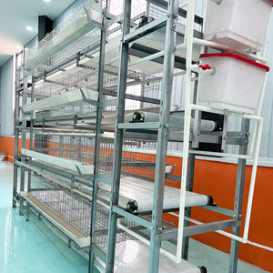 Cages à poules pondeuses de type H à manivelle, avec élimination manuelle du fumier, galvanisées, pour élevage de volailles, à vendre - Product Image 5