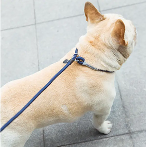 Excellente qualité Machine <span class=keywords><strong>de</strong></span> corde <span class=keywords><strong>de</strong></span> tressage à 16 broches, Machine <span class=keywords><strong>de</strong></span> tressage <span class=keywords><strong>de</strong></span> corde <span class=keywords><strong>en</strong></span> nylon à grande vitesse - Product Image 6