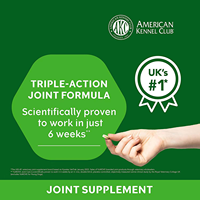 Soins de santé pour animaux de compagnie Glucosamine Suppléments de chanvre pour animaux de compagnie Soutien articulaire de la hanche Chien Chondroïtine Soft Chews
