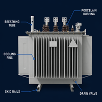 Transformateur de distribution immergé dans l'huile Wanbo-371 630 kVA avec moyeu en porcelaine pour poste de transformation extérieur et réseau électrique