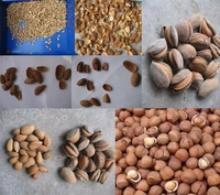 Séparateur multifonctionnel d'amandes et de noisettes 500 kg/h Abricot Peach Pit Amande Machine à décortiquer les noisettes Casse-noix