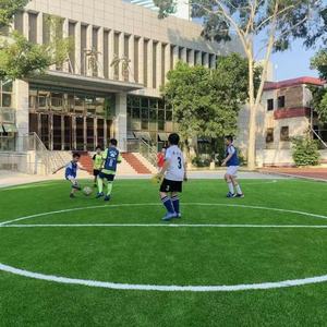 Cỏ nhân tạo hree-màu thực tế cỏ nhân tạo Turf, thực tế thảm cỏ, cỏ bán buôn, thực tế thảm cỏ - Product Image 4