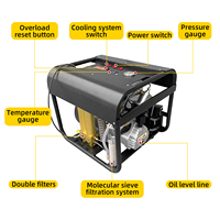 Compresseur d'air respiratoire portable sous-marin à double cylindre TUXING avec arrêt automatique, double filtre, 220V, 4500psi, 300bar