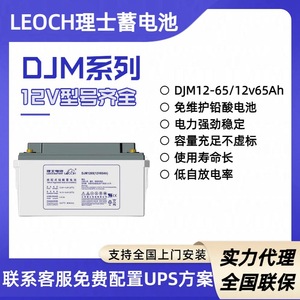 แบตเตอรี่ตะกั่วกรด RiShi รุ่น DJM1265 12V 65Ah VRLA สำหรับยานยนต์ไฟฟ้า เครื่องสำรองไฟฟ้า (UPS) และระบบจ่ายไฟสำรอง (EPS) - Product Image 5