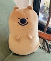 Oreiller en peluche ours de dessin animé Kawaii, jouet en peluche doux, ours souriant mignon, coussin en peluche pour adultes et enfants, cadeau d'anniversaire