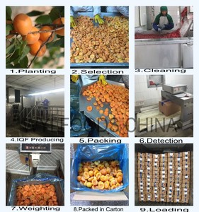 Quả Mơ đông lạnh nửa nửa trái cây đông lạnh chất lượng cao - Product Image 5