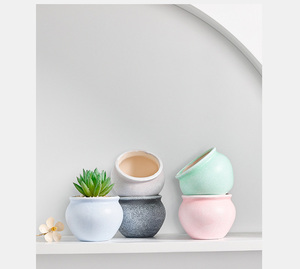 Macetas de Cerámica para Suculentas, Macetas para Plantas, Adornos de Jardín, Interior y Exterior, Precio al por Mayor, Diseño - Product Image 4