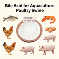 Poudre d'acides biliaires à 70 % (qualité alimentaire) pour poissons carnivores – Améliore la santé hépatique, la valorisation des aliments et les enzymes – Acides aminés de qualité alimentaire