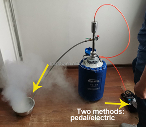 Dispensador <span class=keywords><strong>de</strong></span> Nitrógeno Líquido con Bomba Eléctrica <span class=keywords><strong>de</strong></span> Pie ZYB, Dispositivo <span class=keywords><strong>de</strong></span> Extracción <span class=keywords><strong>de</strong></span> Nitrógeno Líquido con Manguera para Nitrógeno Líquido - Product Image 6