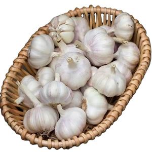 Pemasok bawang putih di Cina kelas atas pabrik 100% bawang putih segar organik dengan harga grosir rendah - Product Image 1