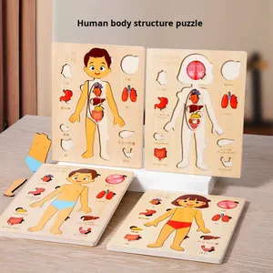 Jeu de puzzle 3D en bois sur la structure du corps humain pour l'éveil scientifique des enfants, jouet éducatif précoce sur l'anatomie des organes et la cognition squelettique - Product Image 2