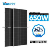 Panneaux solaires bifaciaux de type N TOPCon Trina résistants à la brume salée et à l'ammoniac 650W 700W pour les centrales solaires côtières et désertiques