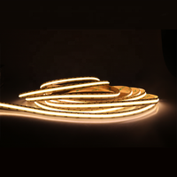 Nouveau Design d'usine décor d'armoire de cuisine Super lumineux pas de tache sombre IP20 bande lumineuse Flexible néon COB