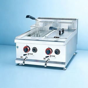 <span class=keywords><strong>Friteuse</strong></span> professionnelle en acier inoxydable au <span class=keywords><strong>gaz</strong></span> naturel avec une capacité de <span class=keywords><strong>10</strong></span> <span class=keywords><strong>litres</strong></span> - Product Image 1