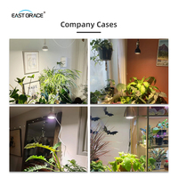 Lampe de culture LED COB étanche pour culture verticale commerciale 15W 30W 40W pour semis de plantes succulentes