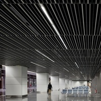 Techo de Rejilla Cuadrada Perforada Moderna Arquitectónica con Color Personalizado para Proyectos de Contratistas, Uso en Exteriores/Hoteles
