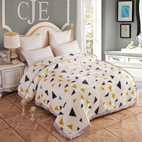 Couverture Raschel de luxe double couche épaissie 100 % polyester écologique pour lit d'hiver, style moderne, personnalisable