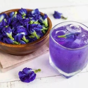 Polvo Orgánico de Flor de Guisante Mariposa Azul Matcha, Grado Alimenticio, Extracto de Hierbas, Certificado Halal, Venta al por Mayor, Envase en Botella de Malla y Tambor - Product Image 5