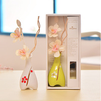 Bouteille en céramique Bâtons de diffuseur de roseau Huiles Diffuseur de roseau sans flamme Ensemble de parfum avec boîtes d'emballage