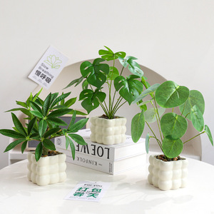 <span class=keywords><strong>ต้น</strong></span>ไม้ประดิษฐ์ในกระถางเซรามิกสำหรับตกแต่งบ้าน สำนักงาน ชั้นวางของ และโต๊ะ - Product Image 2