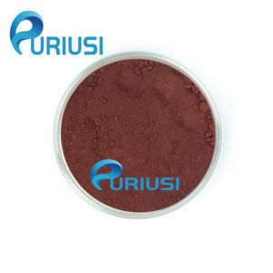 Poudre de fruit de sureau noir naturel d'approvisionnement d'usine extrait de sureau noir 12:1 poudre de sureau noir - Product Image 1