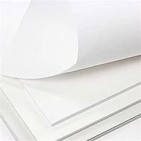 Carton ivoire C1s 300GSM pour emballage de boîtes pliantes