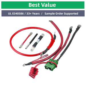 High Current Wire <strong>Harness</strong>: Heavy Duty Copper Cable Assembly For EV Charging Stations And Power Inverters Power Cables - Product Image 2