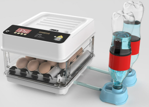 Giá Máy Ấp Trứng/Ấp Trứng Tự Động Công Suất Nhỏ Thiết Kế Mới Công Suất Lớn + 86-15853472359 - Product Image 2