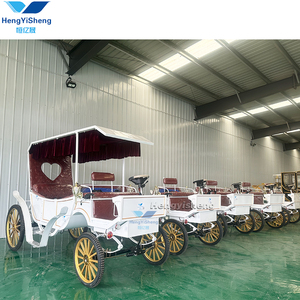 2026 Chariot Électrique Extérieur pour 6 Personnes avec Toit, Type Calèche Romantique pour Mariage et Visites Touristiques, Sans Chevaux - Product Image 5