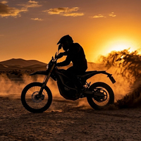 Moto électrique tout-terrain Surron 2026 ULTRA Bee Ebike 24.5KW 74V 60Ah 95km/h, moto électrique haute puissance