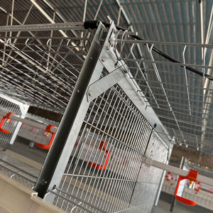 Gabbia per Polli in Acciaio a Batteria Tipo H per Allevamento di Broiler e Ovaiole per Uso Agricolo Disponibile Nuova e Usata - Product Image 6