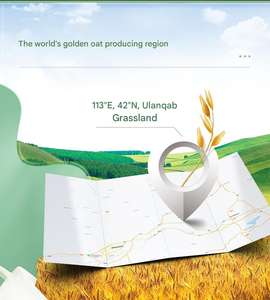 Céréales à l'avoine naturelles pures petit déjeuner 910g flocons d'avoine à grains grossiers sains pour les aliments pour bébés haute digestibilité exportés dans le monde entier - Product Image 2