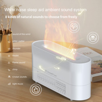 Haut-parleur Bluetooth HIFI 4-en-1 OEM 260 ml, diffuseur d'arômes ultrasonique USB à bruit blanc et flamme 3D avec lumière LED